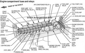 Holden Caprice (WK) - fuse box diagram - engine compartment