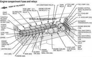 Holden Statesman (WK) - fuse box diagram - engine compartment