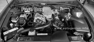 Holden Commodore (VY, VZ; 2002 - 2007)- fuse box location - engine compartment