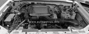 Holden Monterey (UBS; 1996 - 2003) - fuse box location - engine compartment